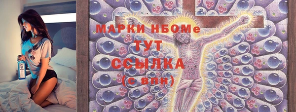 молекула духа Лабытнанги