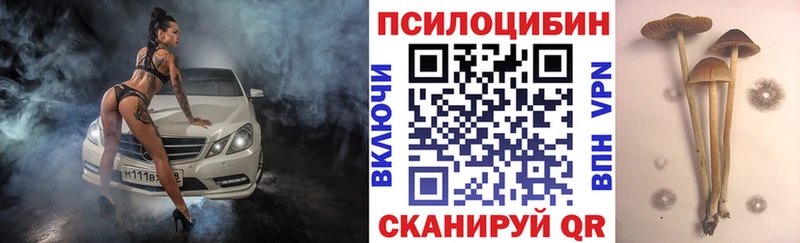 Псилоцибиновые грибы GOLDEN TEACHER  MEGA ссылки  Венёв  купить наркоту 